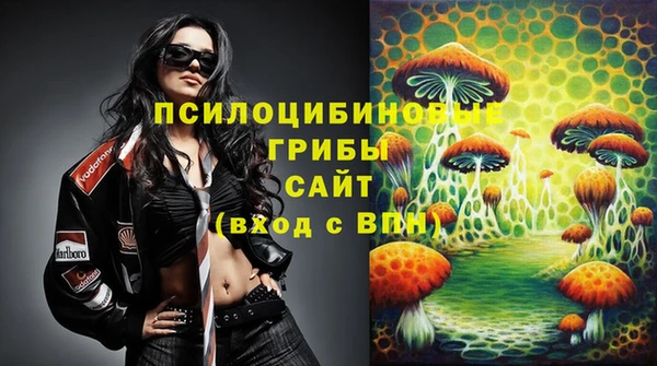 молекула духа Нея