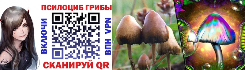 Галлюциногенные грибы мухоморы  Пермь 